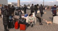 Українські переселенці, вторгнення росії в Україну, вимоги до місць перебування біженців