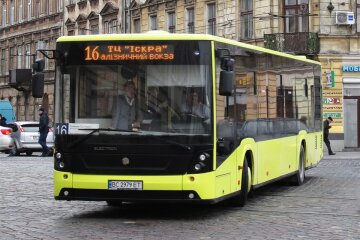 Городской транспорт Львова