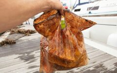 пакет разложение