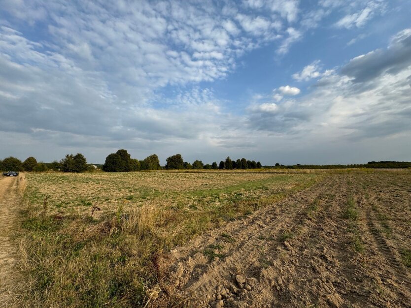 Городи в Україні / Фото prometei.ua