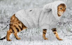 Прогноз погоды в Украине / Фото: ru.aliexpress.com