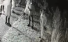 Драка со стрельбой в Киевской области