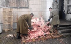 мясо для армии