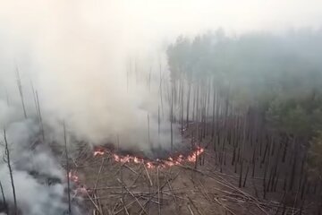 Чернобыль, зона отчуждения, пожар в лесу
