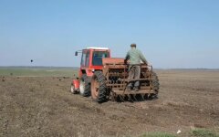 Кукурузы больше, сахарной свеклы меньше: в Кабмине отчитались о ходе посевной в Украине
