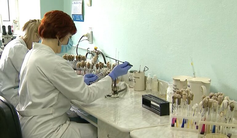 Коронавирус в Украине, ВОЗ, Россия