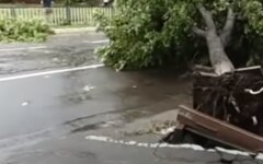 Погода в Украине,погода в Украине на субботу,погода в Украине на 13 июня,ГСЧС,Ливни в Украине