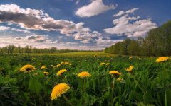 Прогноз погоды в Украине