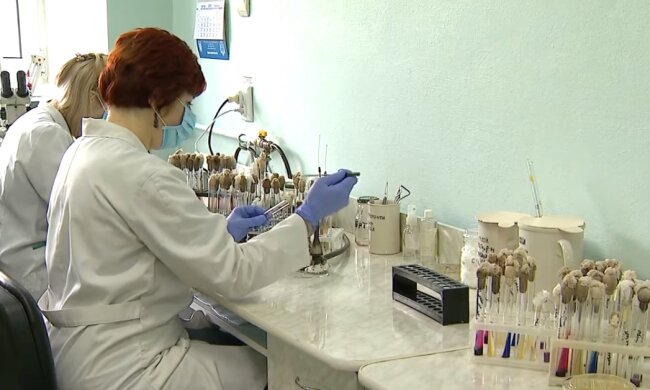 Коронавирус в Украине, число заболевших, сутки
