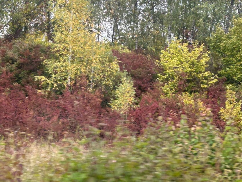 Погода осенью