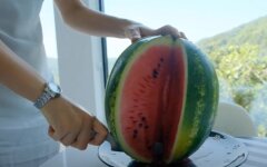 Арбуз, дефицит, ситуация на рынке, оккупация
