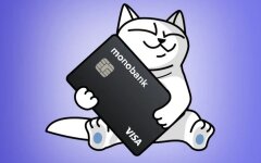 Монокот