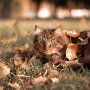 Прогноз погоди в Україні / Фото: Unsplash