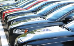 Українські водії / Фото: Unsplash