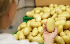 Ціни на картоплю в Україні / Фото: freepik.com