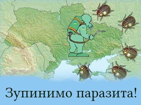 Колорады