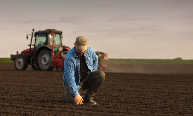 Сільськогосподарська земля