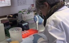 Коронавирус в Украине, число заболевших, НАН Украины