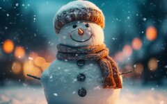 Погода в Украине, снеговик