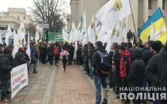 протесты