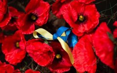 Отношение украинцев ко Дню победы