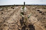 Посуха в Україні / Фото: agro-yug.com.ua