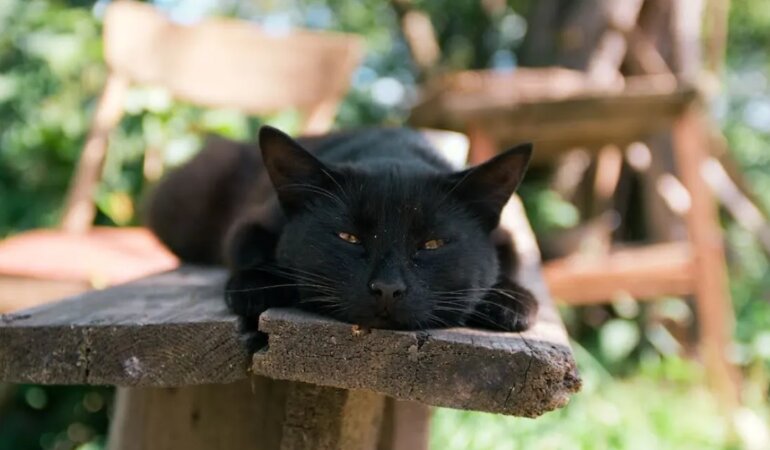 Прогноз погоды летом