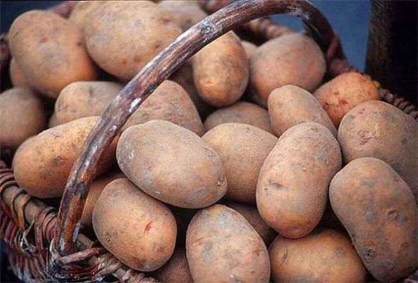 Цены на картофель в Украине / Фото: east-fruit