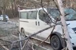 Погода в Киеве, ветер повалил деревья на авто
