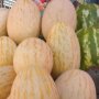 Цены на дыни и арбузы в Украине