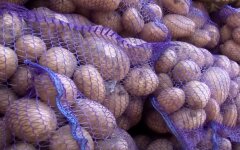Картофель, цены на картофель, цены на картофель в Украине