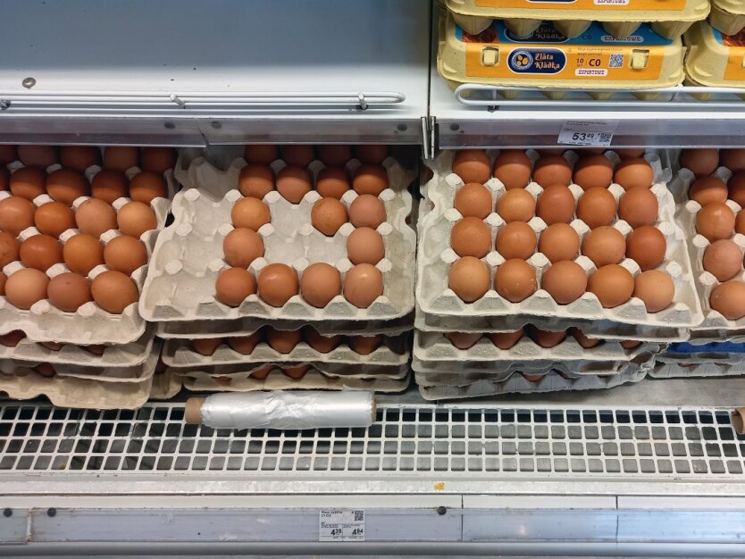 Цены на куриные яйца