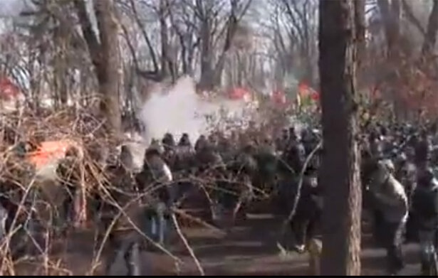 Бой в Мариинском парке