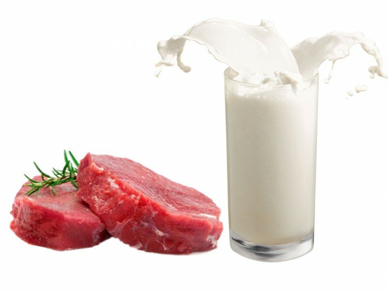 молоко и мясо