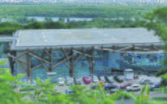 parkovyj