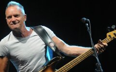 sting
