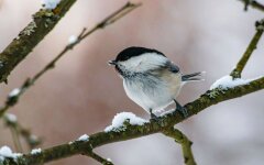 Прогноз погоди в Україні / Фото: Pexels