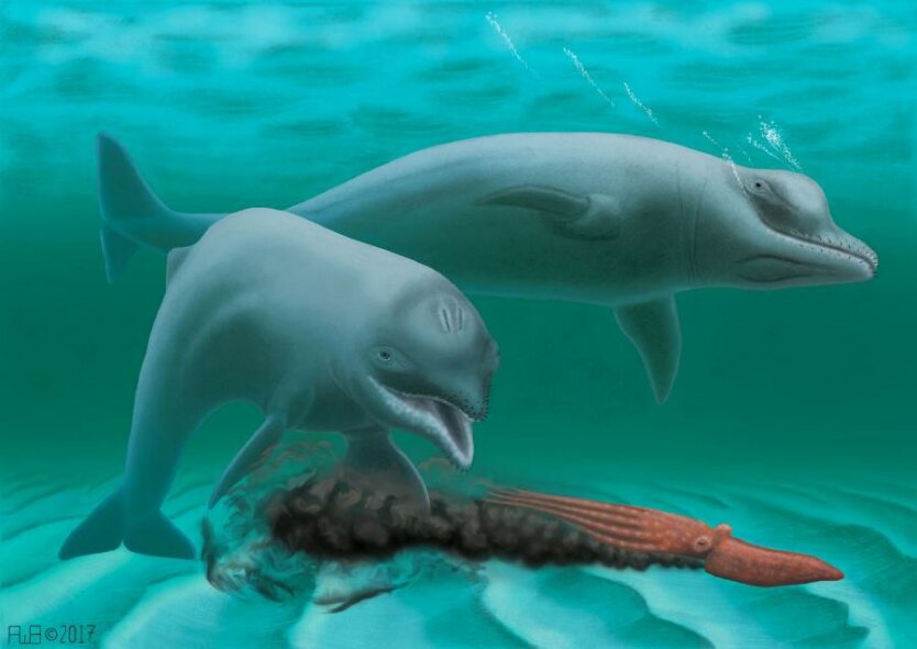 drevnie-delfinyi