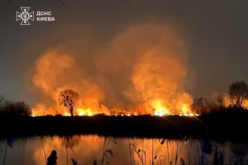 ДСНС: Площа пожежі на київських Осокорках складає близько 3 гектарів