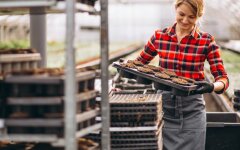 Зарплати за кордоном / Фото: Freepik