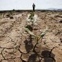 Посуха в Україні / Фото: agro-yug.com.ua