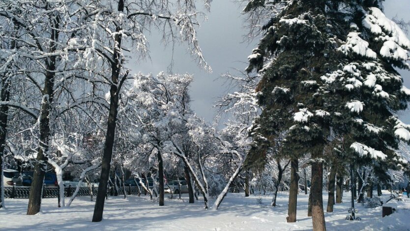 Зима в Украине, погода зимой