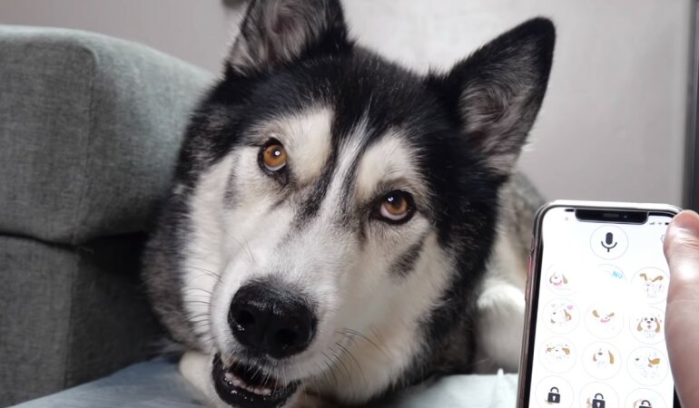 Изменение тарифов "Киевстар",Мобильный оператор "Киевстар",Компанія "Київстар"