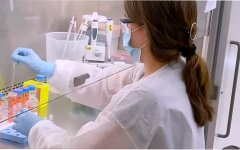 Вакцина Pfizer, Вакцина против коронавируса, Эффективность вакцины от Covid-19
