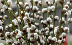 Прогноз погоди в Україні