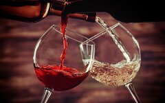 vino
