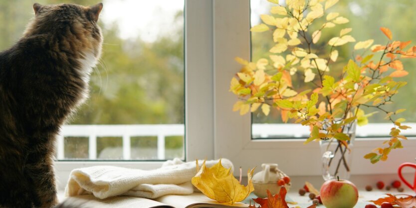 Прогноз погоды в Украине