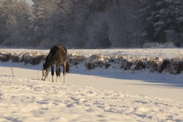 Прогноз погоды в Украине  / Фото из Facebook Людмила Тонконог