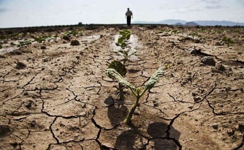 Посуха в Україні / Фото: agro-yug.com.ua