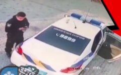 Полицейские похитили мусорный бак на автомойке: "кража века" попала на видео